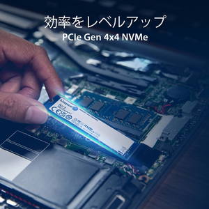 Kingston NV3 NVMe PCIe 4.0 M.2 2280 SSD interne