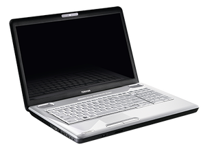 Satellite L550 (PSLW0E-04900ES4)