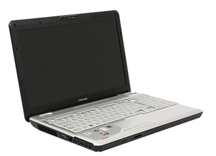 Satellite L500 (PSLU6U-06M00R)
